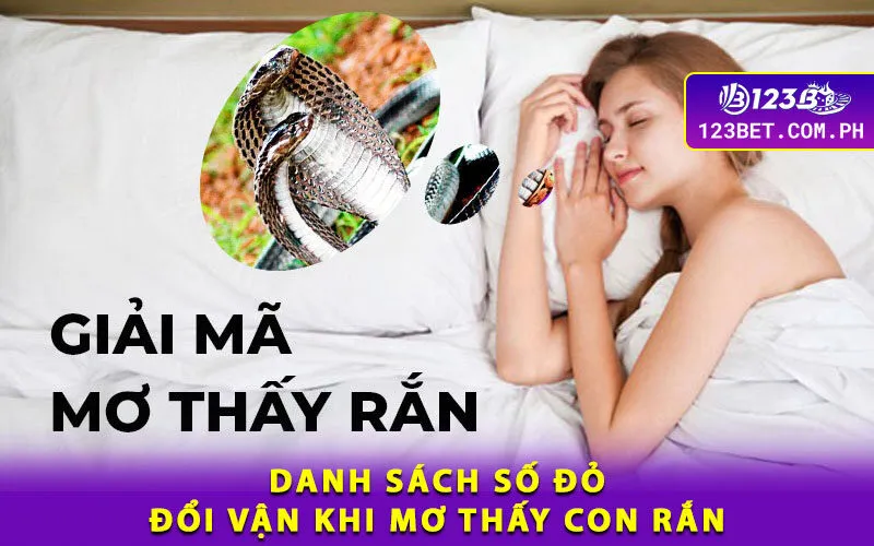 3-danh-sach-so-do-doi-van-khi-mo-thay-con-ran